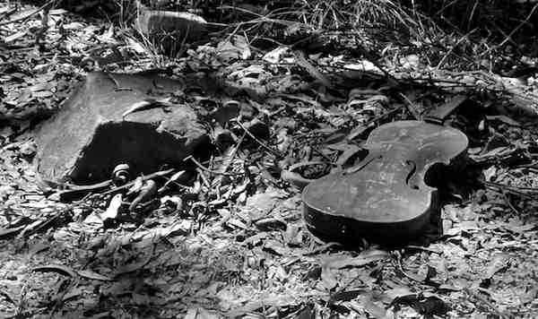 violin at rosenberg's last camp